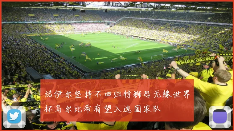 诺伊尔坚持不回归特狮恐无缘世界杯乌尔比希有望入选国家队