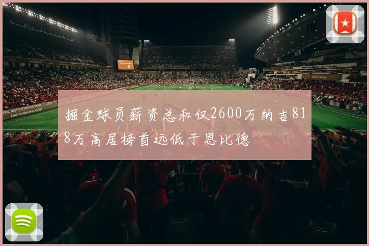 掘金球员薪资总和仅2600万纳吉818万高居榜首远低于恩比德