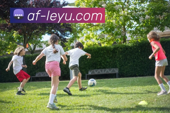 多媒体互动体验